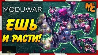 Moduwar - САМАЯ НЕОБЫЧНАЯ СТРАТЕГИЯ!