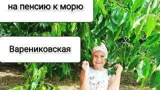 куда переехали родители на пенсию / станица Варениковская Краснодарский край