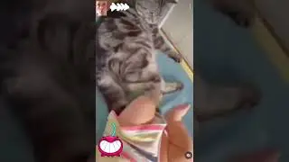 Малыш и кошка играет ножкой!