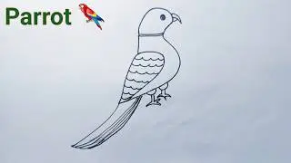 How To Draw a Parrot Drawing | Parrot Drawing Easy | Pota ki Drawing banana