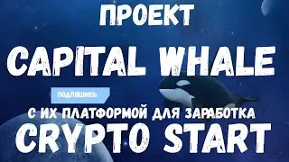 Зарабатываем с проектом Capital Whale и их новым продуктом Crypto Start