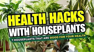 💖😮 HEALTH HACKS WITH HOUSEPLANTS! - 7 Magical Houseplants That Are Good for Your Health! 😍💚