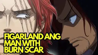 Figarland ang Man with Burn Scar | One Piece Theory