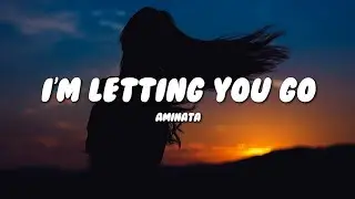 Aminata - I'm Letting You Go (Lyrics)