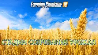 ✅Farming simulator 2019 СТАДИИ СОЗРЕВАНИЯ УРОЖАЯ (БЫСТРЫЙ НАГЛЯДНЫЙ ТЕСТ ) 💥💥💥