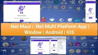 .net maui | .net multi platform app | window | android | IOS