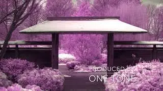 Old School Japanese Hip Hop Instrumental (New Beat)