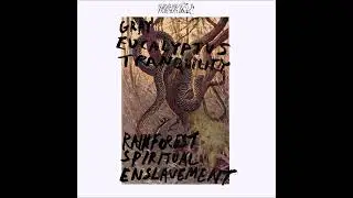 Rainforest Spiritual Enslavement - Stimulus Of The Venom