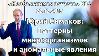 Микроорганизмы и АЯ, Юрий Симаков | Необъяснимая встреча 6