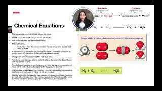 ATI TEAS 7 Science Course | Chemical Reactions