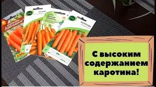 Эта морковь вырастает крупной, ровной, а хранится до следующего лета!!! Обзор семян на 2022 год