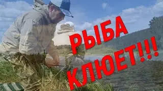 Чудо место!!! Рыба клюет!!!