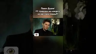Павел Дуров: «Не тупи!» 😁 