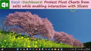 Excel : Dashboard: Protect Pivot Charts from edits while enabling interaction with Slicers