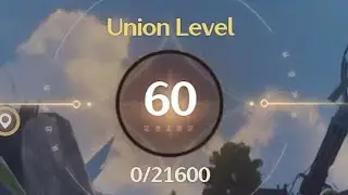 I wasnt prepared for Union Level 60 (Wuthering Waves)