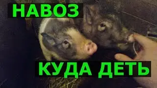 Куда девать НАВОЗ.Хозяйство в СНТ