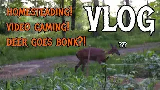 [VLOG] Homesteading, Video Gaming, & I Have Arthritis