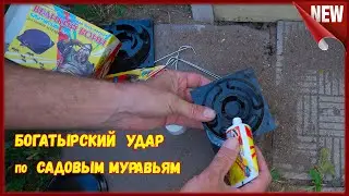 Муравьи!!!  Как избавиться от муравьёв.  Средство для  борьбы с муравьями, в доме и огороде.