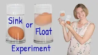 Sink or Float? | Cool Science Experiment for Kids