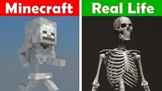 MINECRAFT SKELETON IN REAL LIFE! Minecraft vs Real Life animation CHALLENGE