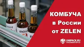 Комбуча теперь в России от завода ZELEN