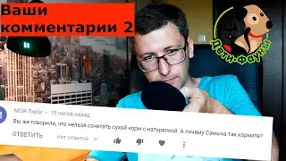 Ответы на ваши комментарии (часть 2)