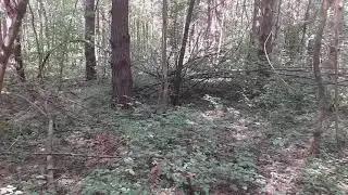Один единственный вопрос армянам.