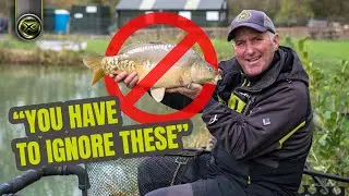 WHY YOU SHOULD IGNORE CARP - Mark Pollard's match winning tactic