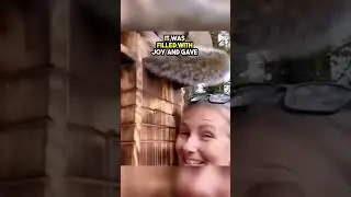 This squirrels house was destroyed but they built her a new one😲😢💔❤️