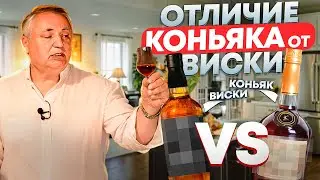 Чем отличается виски от коньяка? Коньяк или виски?