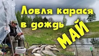 РЫБАЛКА В ДОЖДЬ: КАРАСЬ В МАЕ ОТЛИЧНЫЙ УЛОВ