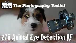 Nikon Z7ii Animal Eye Detection Autofocus