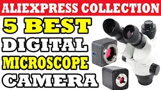 Top 5 Best Digital Microscope Camera in 2021