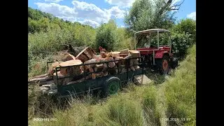 Шифенг 244! Отличный трактор для заготовки дров!
