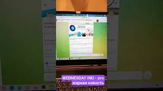 IVENDPAY И WEDNESDAY INU - ИНТЕГРАЦИЯ МОНЕТЫ В ПЛАТЕЖНУЮ СИСТЕМУ. ПОЧЕМУ WEDNESDAY INU - ГЕМ 2023?