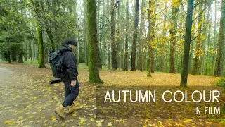 Photography in the Woods  |  Autumn Colour in Film