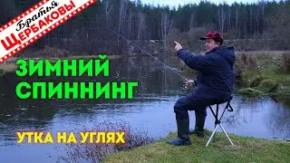 ЗИМНИЙ СПИННИНГ на реке. КРАСОТА рядом! Секрет вкуснейшей УТКИ НА УГЛЯХ – пальчики откусишь! )