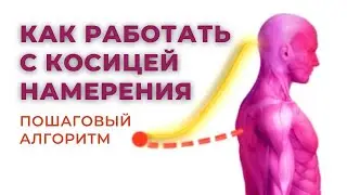 КОСИЦА НАМЕРЕНИЯ. Где находится и как с ней работать? Тафти жрица. Вадим Зеланд. Трансерфинг