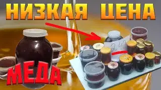 Цена меда Украина. По какой цене продают пчелиный мед на рынках Украины. Почему цена на мёд низкая?