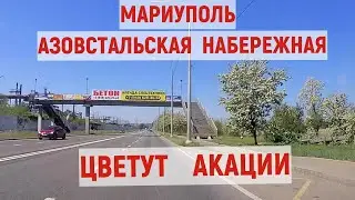 Азовстальская Набережная  АКАЦИИ ЦВЕТУТ 10.05.2024