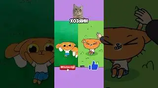 Прятки симбы!🐱 