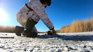 ОГО ВОТ ЭТО МОРДА ПОКАЗАЛАСЬ! Жерлицы горят! ПЕРВЫЙ ЛЕД 2023-2024!