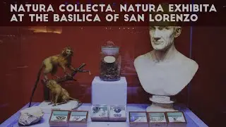 Natura collecta, Natura exhibita in the Salone di Donatello at the Basilica of San Lorenzo