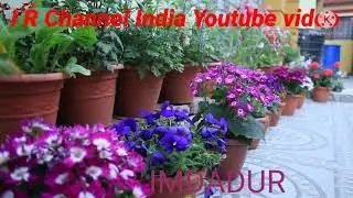 Hw To Home Garden Sineri & home styles