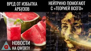 Квантовая гравитация. Опасность арбузов. Потепление морей. Архитекторы термиты. Новости QWERTY №296