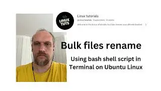 Bulk files rename in a bash shell script for Linux