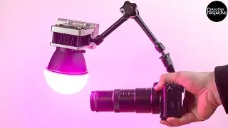 Is this the Best Macro Setup? New Dome Diffuser & ZHIYUN Molus X60 RGB