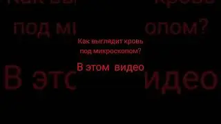 Кровь под микроскопом #микроскоп