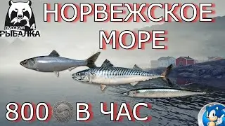 🌟НОРВЕЖСКОЕ МОРЕ🌟ФАРМ НА МЕЛКОЙ РЫБЕ🌟Русская Рыбалка 4(РР4)🌟