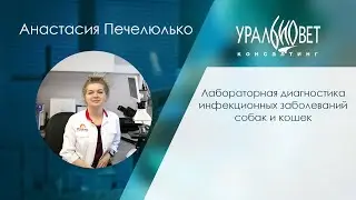 Вебинар 